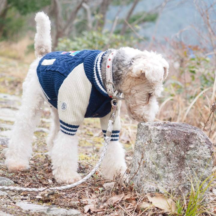 3627243e 6fe4 4b7c 9543 88f73a5948f8 1585664208025