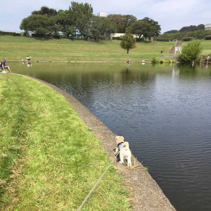 36275e23 d60c 47f0 812d 420757dc1931 1537164786536