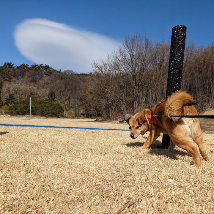 36277b81 8fb0 467b a0c7 953f8154df7f 1677678615527