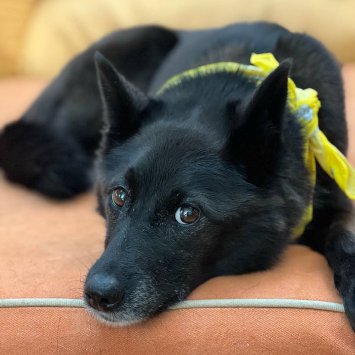 36277f66 83c3 463c ae02 2d9bfb44a94e 1726791339709