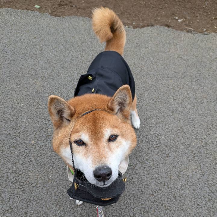 36279cac 97c5 4410 8168 757d98bf3b77 1741588470076