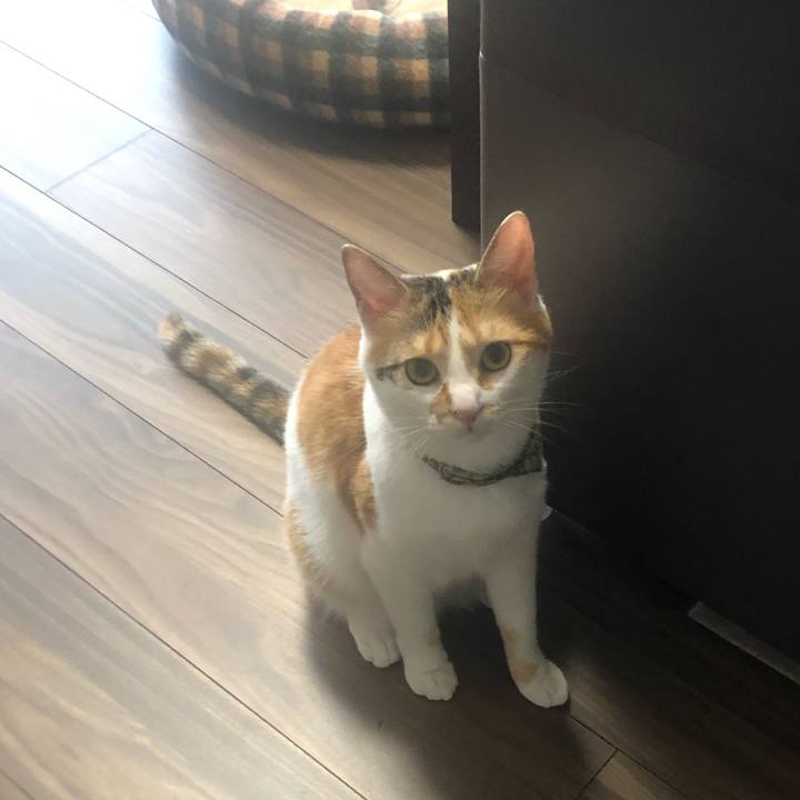 36285258 eafe 473e 818a 941f443d7d70 1593560218812