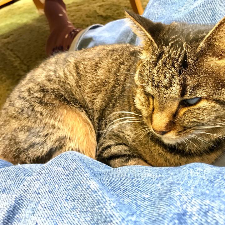 362856ea 1deb 424c aaee 39441ae4cc5a 1542768872368