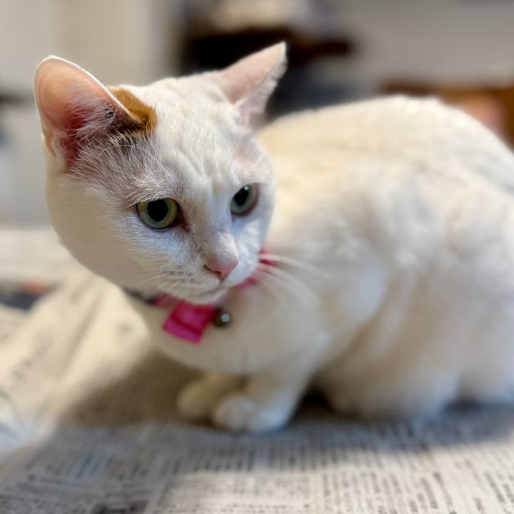 362866e8 ccfa 4816 9015 ed99bc10f1f1 1768905329071