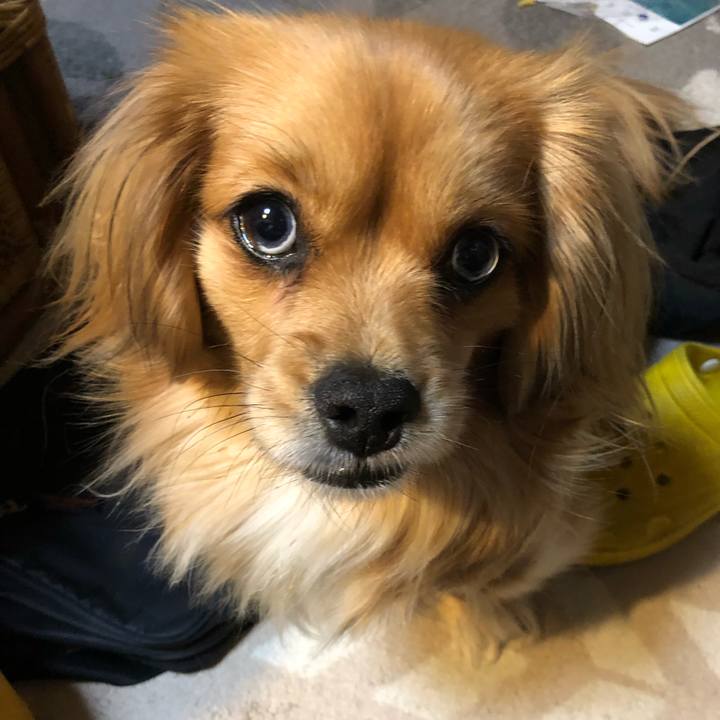 3628b5e6 eed1 4562 8cac fb7c90a30b1b 1551603624107