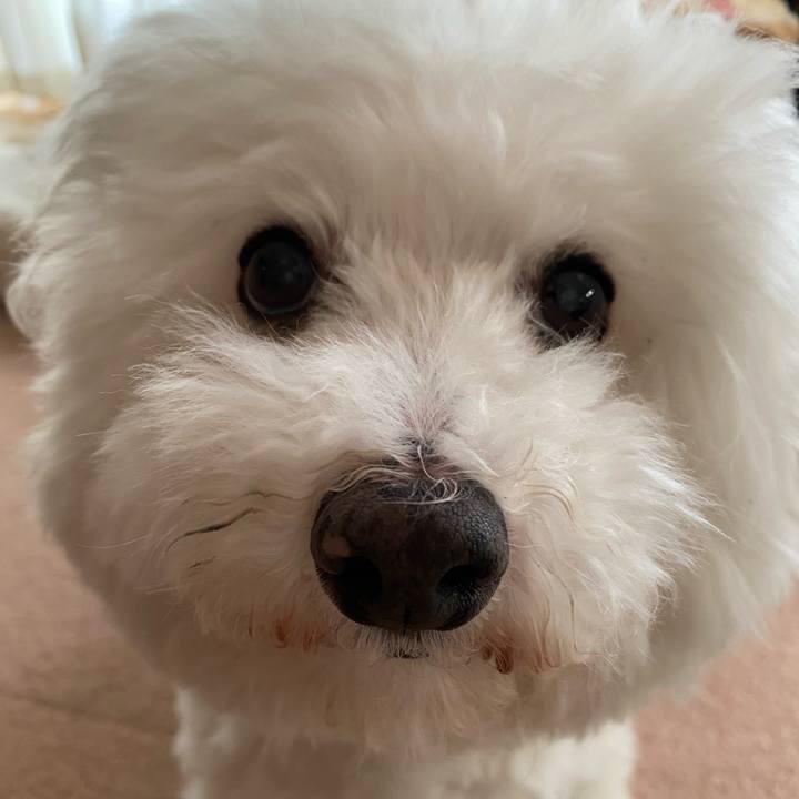 3628dd87 d2e1 43b0 9d87 26e1d79fa712 1666851528865