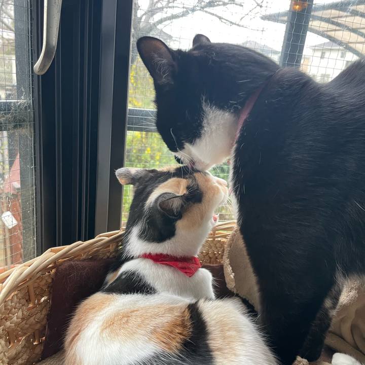 3628e893 024e 4f9a 810e ffb0f6b95812 1712184697641