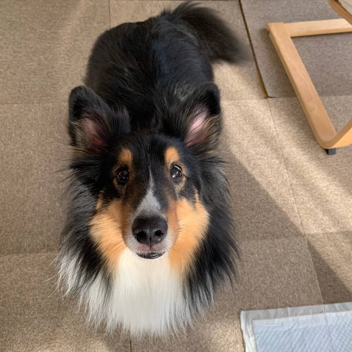 362928c6 63f8 4374 b902 e74dc370ad53 1585865974860