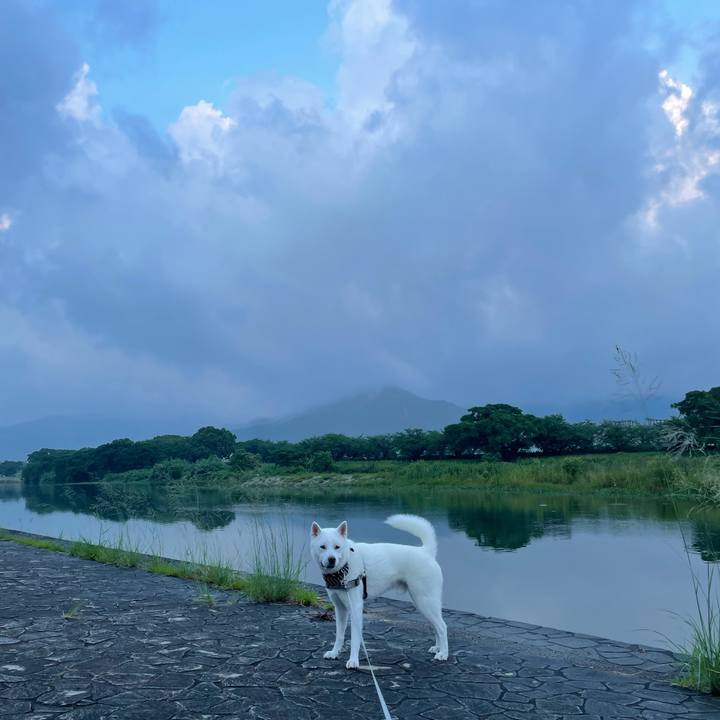 36294cb5 b6d5 486c 8fc0 7ef9986f4d1c 1657313798450