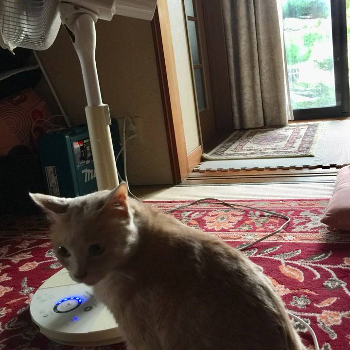 362953bd 4467 4cd8 8080 1b3252903d06 1629873906092