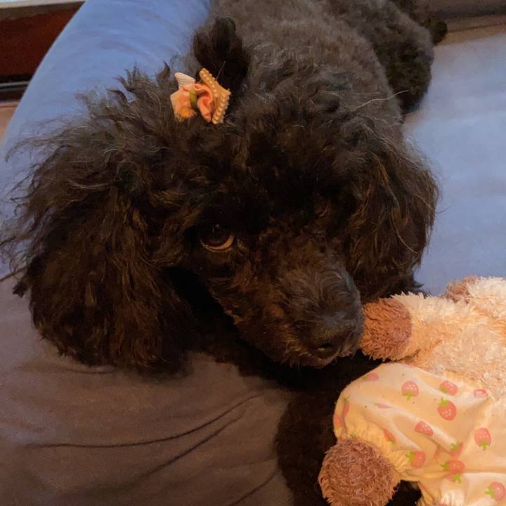 36296136 9f49 4cf0 b0ac d0eb04529dd3 1630481251465