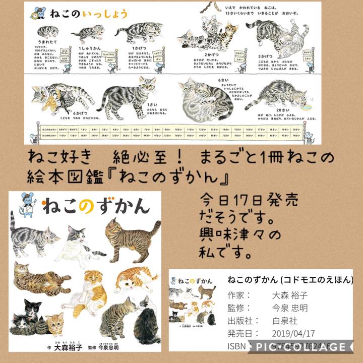 36297fa1 1e15 4d34 b9e3 5997511e17be 1555480380906