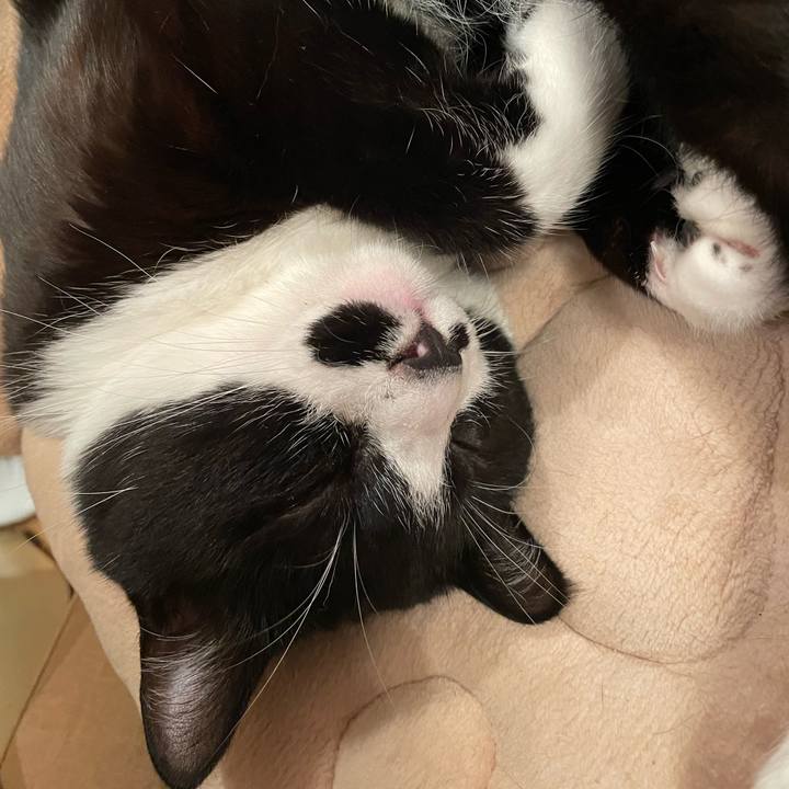 362a0338 19d5 4a7d a4c6 90b1804ffc81 1651025015514