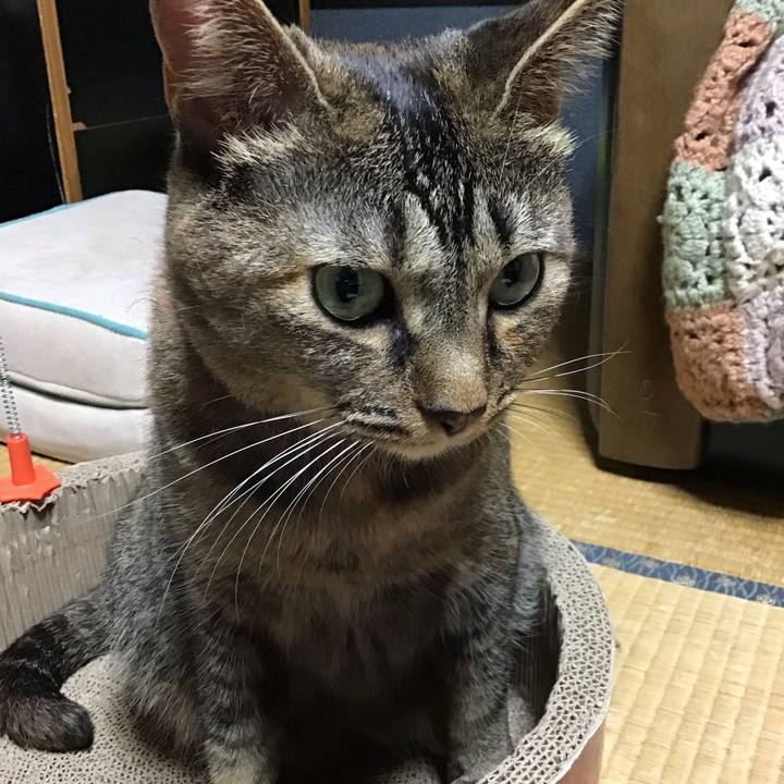 362a181b 9454 4e07 a382 a5911e8165ff 1631267184999