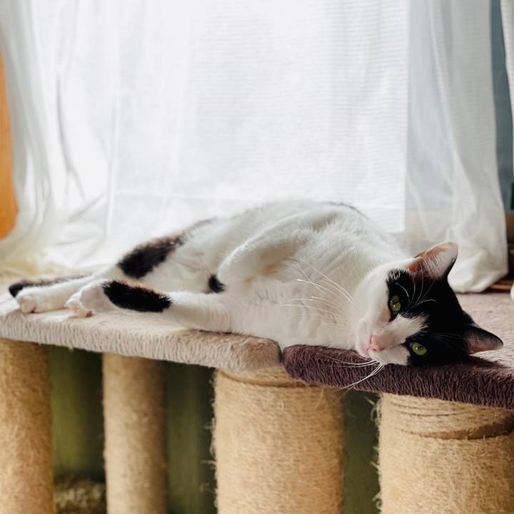 362a2043 855e 49f2 8af5 963a1081f717 1606357094499