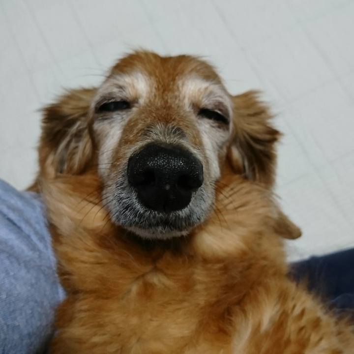 362a2b89 ddca 4602 811a c9b507df3092 1508692678318