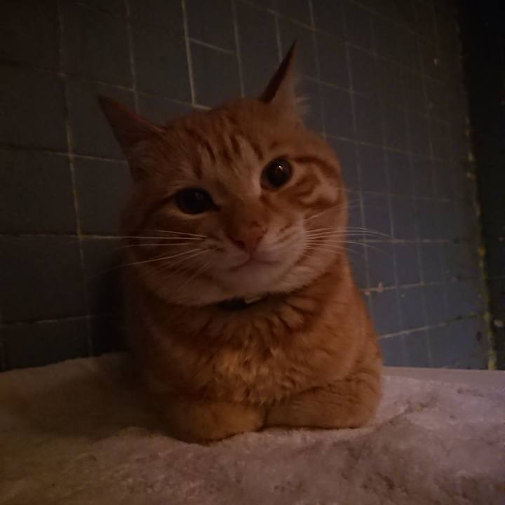 362a3124 af51 4c69 ac48 596ff105420e 1647345677409