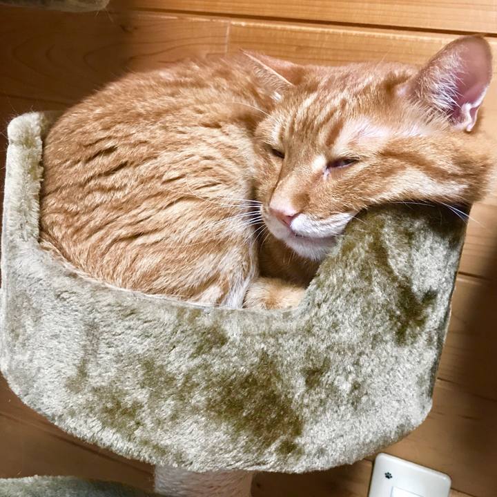 362a37e7 8ba3 46d3 acf9 5bceead3d30a 1530757760781