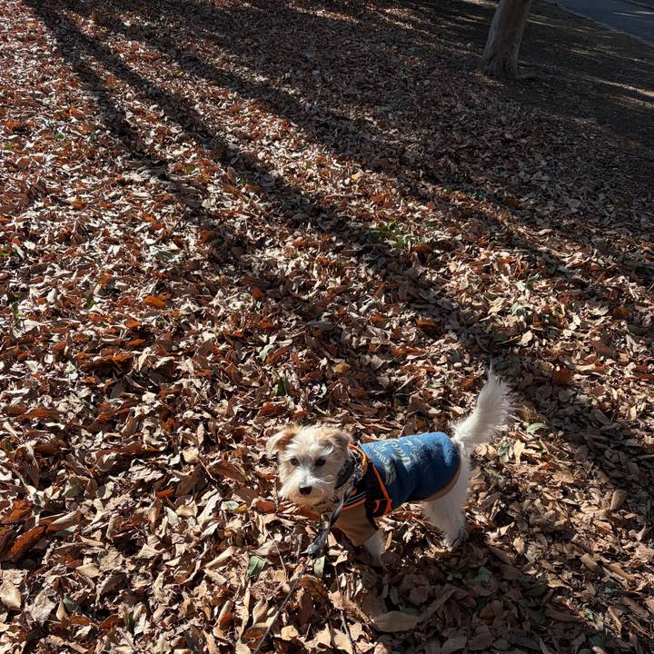 362a5e31 e78b 4ec4 91a1 09908fe5ea06 1769319119266