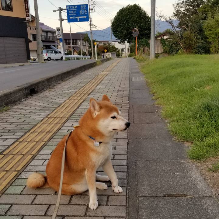 362a73d5 99ca 4938 929d 75155de38a7e 1569486404303