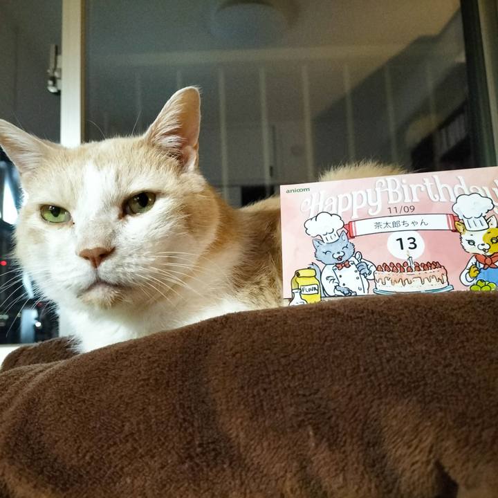 362a7b47 dfb7 4c37 94fd e5df20beb77e 1699448268312