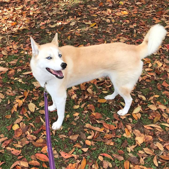 362afb98 0b4c 44d8 9e83 cfc905a656bc 1510379219616