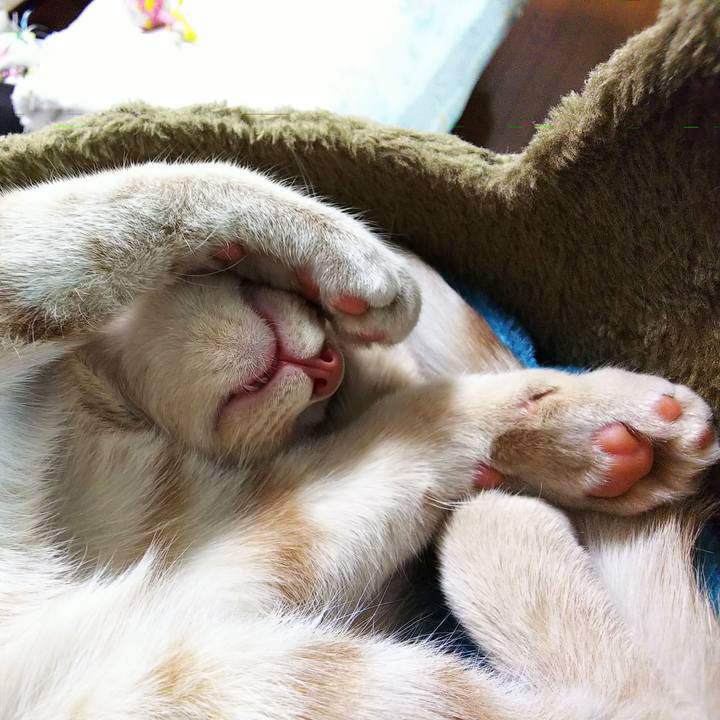 362b11d4 d756 4f4d a2f7 fb1f174f4f8d 1544346380606