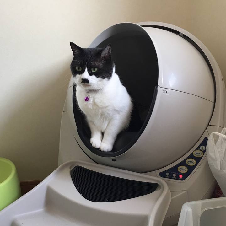 362b782a 790c 4aab b6a2 ee56a0a1ec88 1565832909623