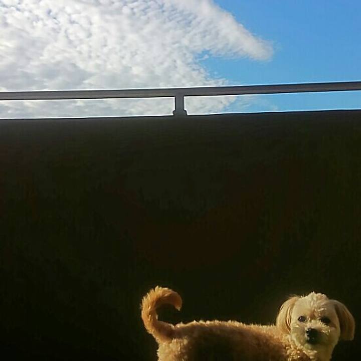 362bb1fc 2d63 4463 8244 4723dadc0e74 1570967167423