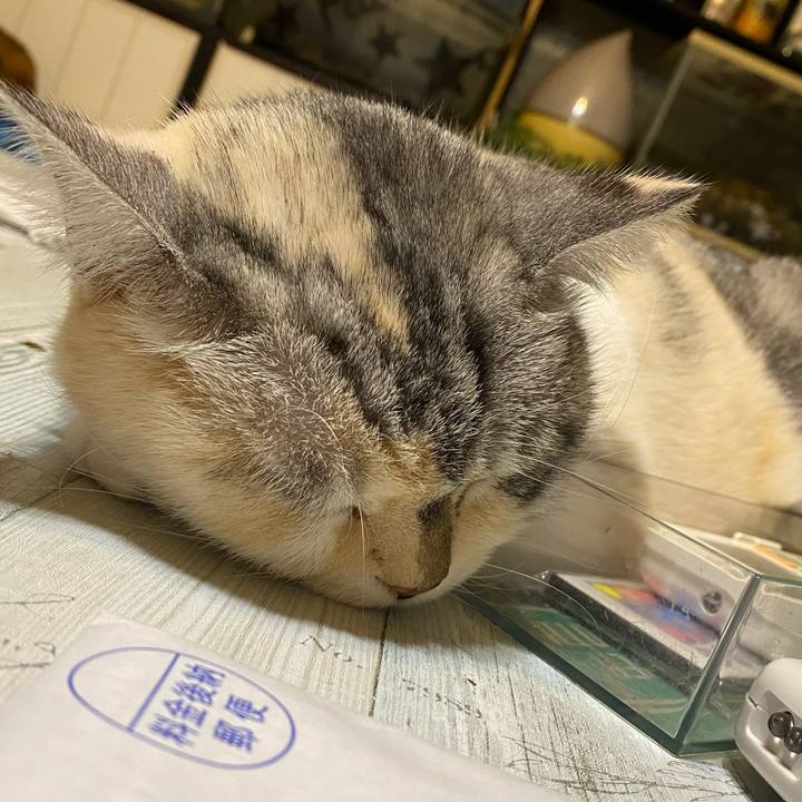 362bc95b 8873 4d99 a5a5 e8f08391ddb8 1637675814504