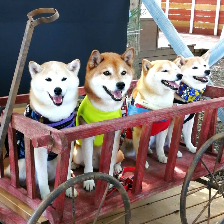 362be92e 863a 42b8 90a3 6ecadfe2d529 1688457725763