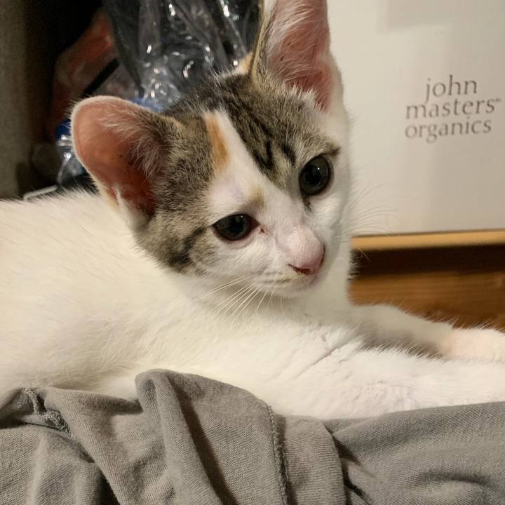 362bff99 1e34 40b9 9fc6 e939bb526a64 1593697886840