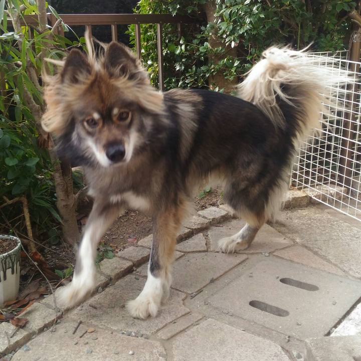 362c0b5c 9794 4bb6 90d6 a3670cc125db 1545011645151