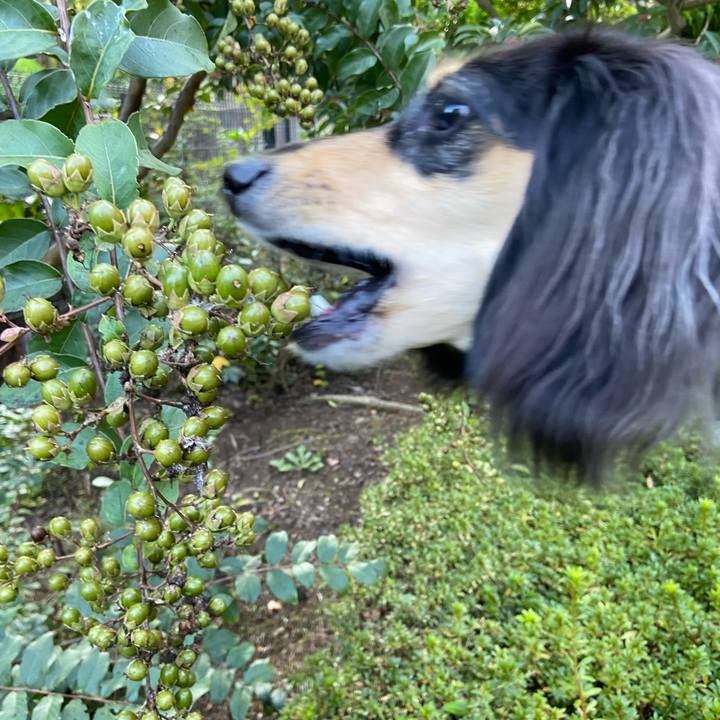 362c20b1 4b39 4b62 b333 49c66d99b049 1698358044925