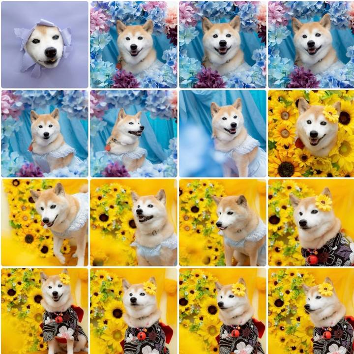 362c4c27 0734 4fa1 921a 19ca09d5cae1 1784369293234
