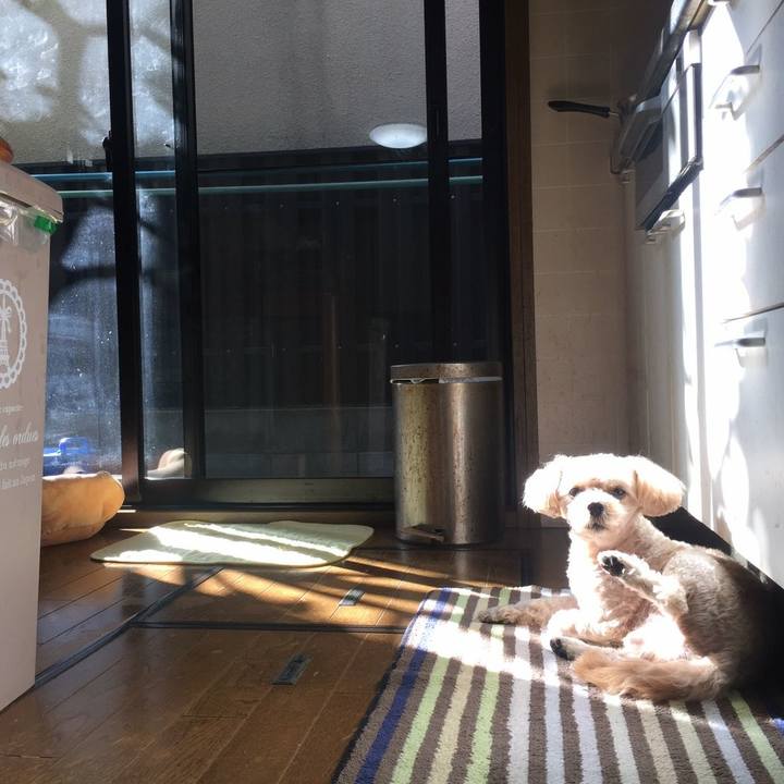 362c5bc9 f710 499d ae9c 51aa90e7bc7b 1572531757293