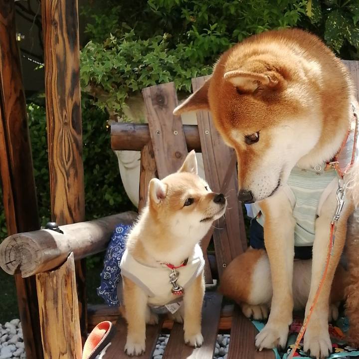 362c5d19 8aac 4209 817e f5c0453775a8 1619077428074