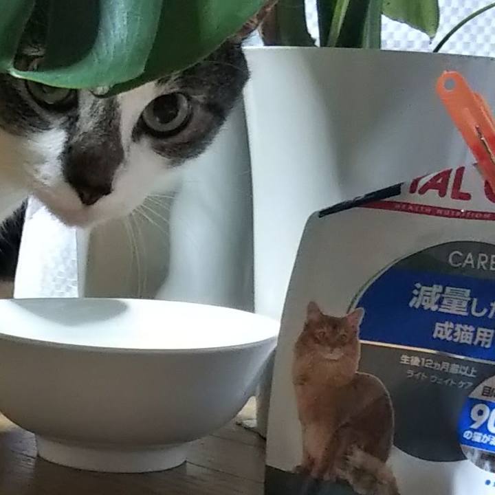 362c5d4a fbf3 4a72 953a 94f3b408f9a9 1603097772033