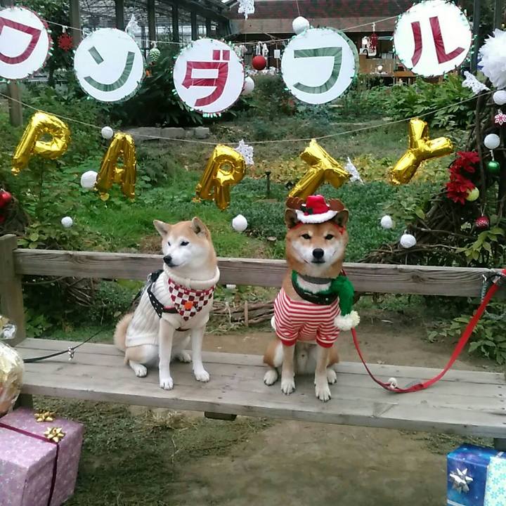 362c5e9e 098c 4d2b b4e5 88116ce7e058 1577004253414