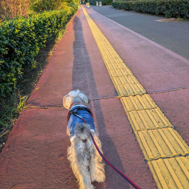 362c6821 13de 48db a669 d5a5160a8cd9 1757842751830