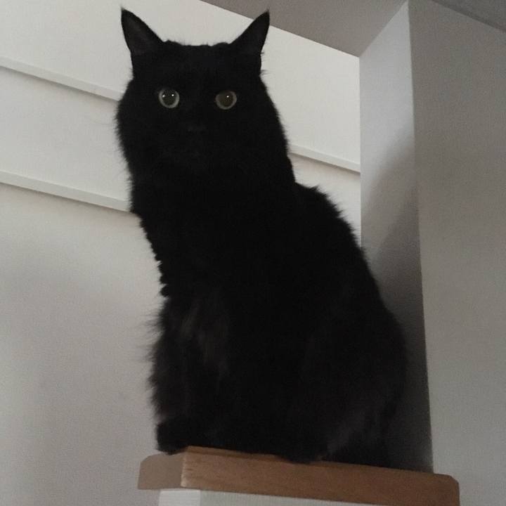 362c6ec0 36a6 4a7f b757 b59be721e67f 1534897242474