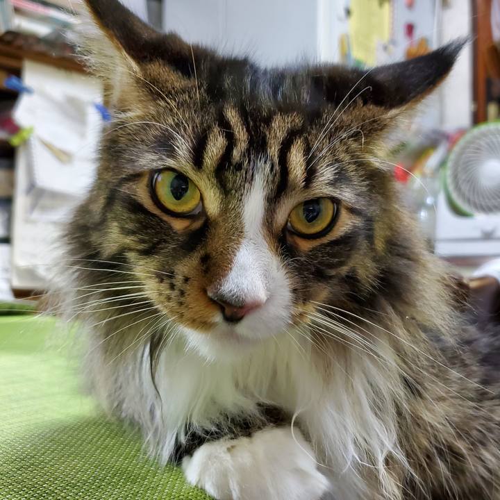 362c6f4b d465 42fa ba4a 62397f8c5f01 1687398222222