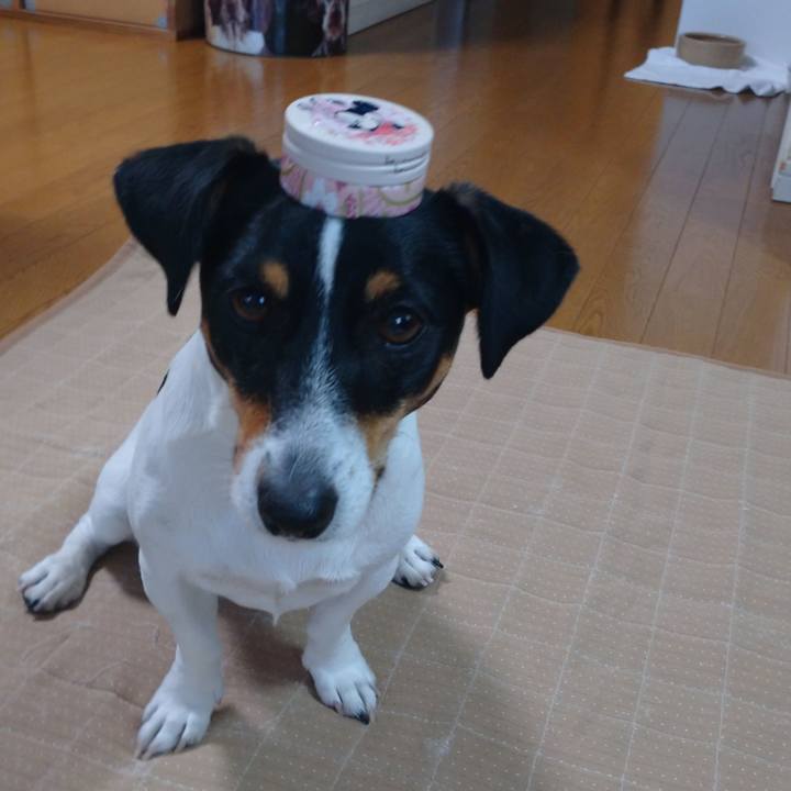 362c9ad8 a2a2 4162 b910 d1ed16b05615 1611820830141