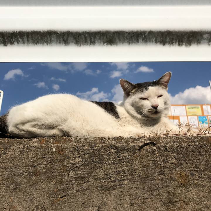 362c9ff6 7960 4847 bc9e 2ee2c278be16 1552453566679