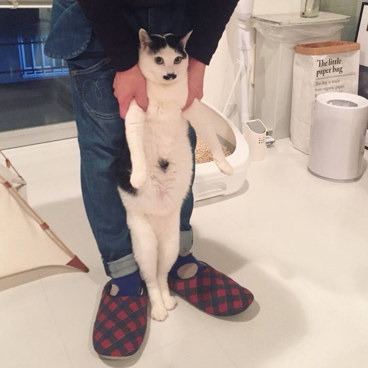 362ca358 d354 4ef8 a2c5 07bf7808445f 1521965778150