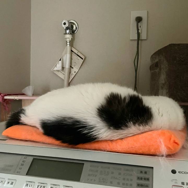 362caac1 d988 48f0 92a4 1d6924c4d661 1757374531535