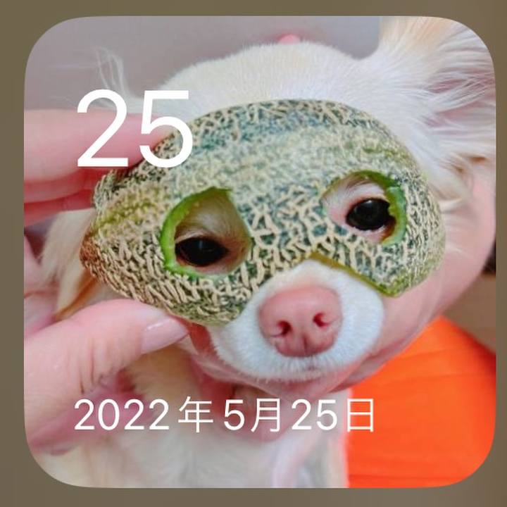 362cf1a3 0981 4718 8143 49f3865fafe3 1685017559118