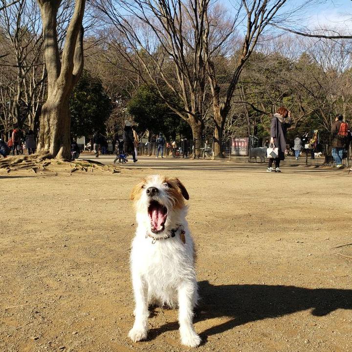 362cf9f2 7a9f 4bae 919b 01164862d93f 1581141707975