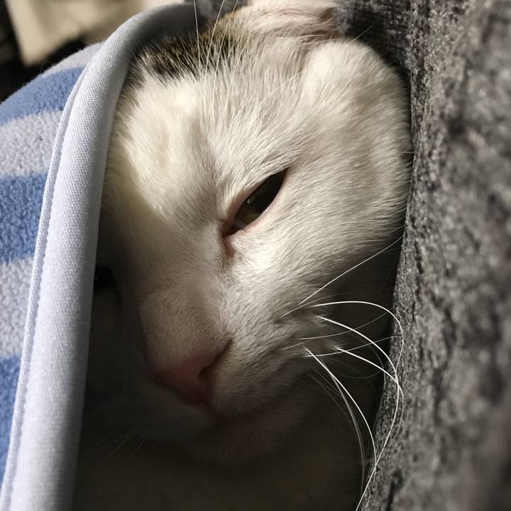 362d08d8 c72b 4181 9c34 a737408f095d 1515239496305