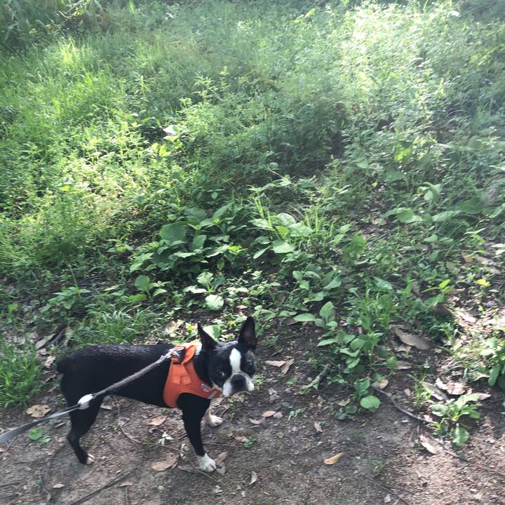 362d3509 2577 4699 af7b 0d3d98772c3d 1619942278360